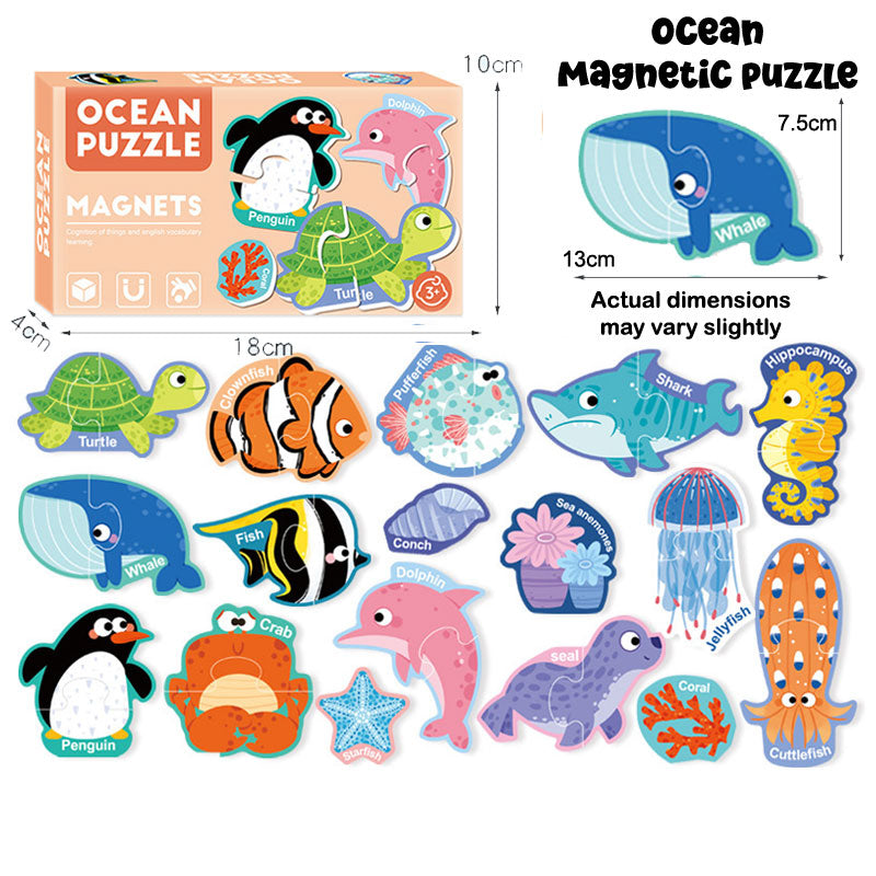 Magnetic Puzzles Playkit