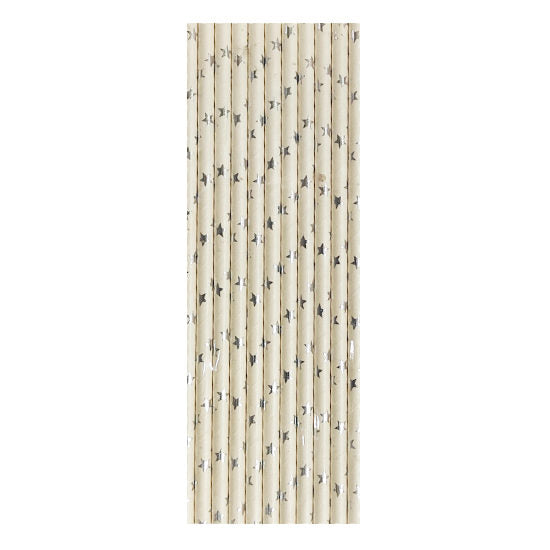 Silver Stars Paper Straws (25pc)