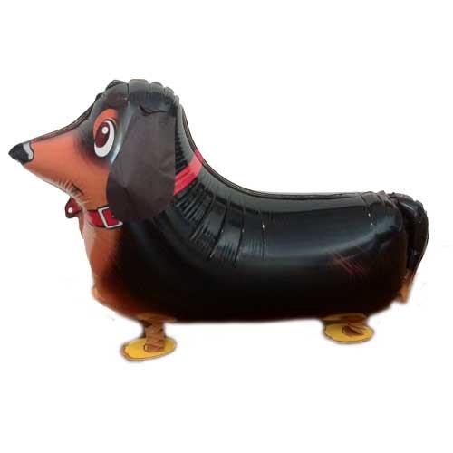 Walking Pet Black Dog Balloon with Helium.