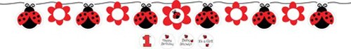Decorate your party with this cute Lady Bug Fancy jointed banner. 