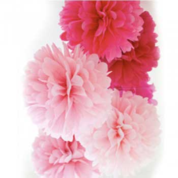 Party Lanterns and Hanging Pom Poms are great for party decoration.