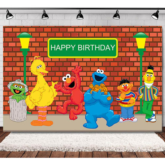 Sesame Street Cartoon Fabric Backdrop for Birthday Decoration!