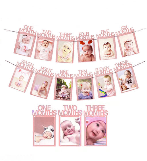 Pink 12 Months Photo Garland