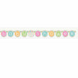 Do a loud declaration at your newborn's party with this pastel coloured jointed Banner with the words "BABY SHOWER".