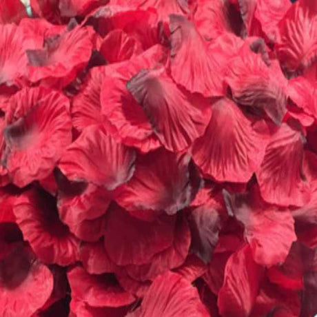 Black & Red Artificial Rose Petals Stack