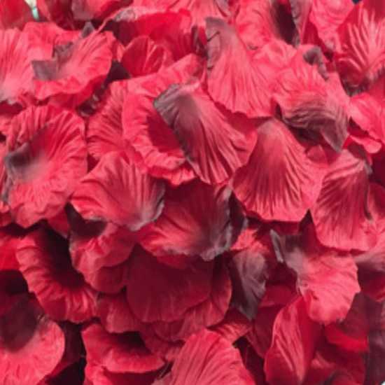 Black & Red Artificial Rose Petals Stack