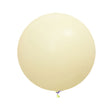 Macaron Yellow jumbo latex balloons for decorating your party.