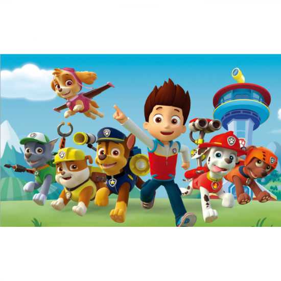 Load image into Gallery viewer, Lovely Paw Patrol birthday party backdrop. Not worded, so you can use it for any event.
