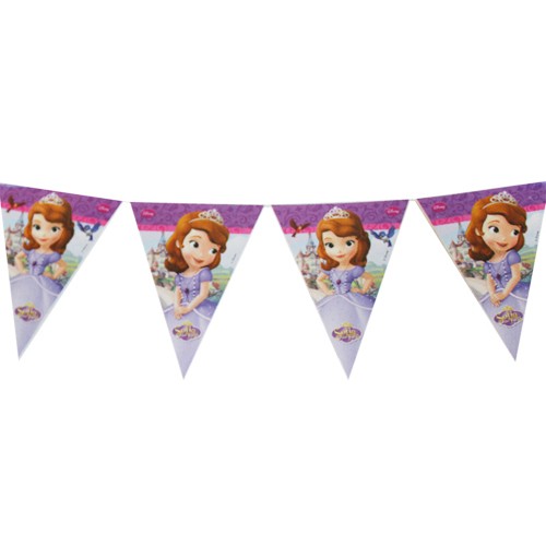 Sofia the First Princess Birthday Party Decoration!