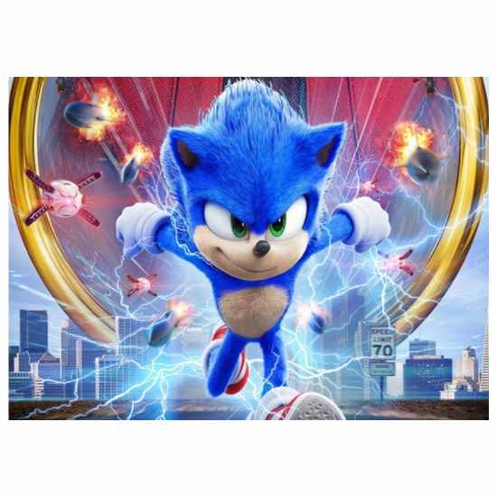 Load image into Gallery viewer, Sonic the Hedgehog in action for this large fabric backdrop.
