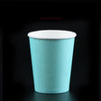 Elegant Tiffany Blue coloured drinking cups for the birthday party celebration.